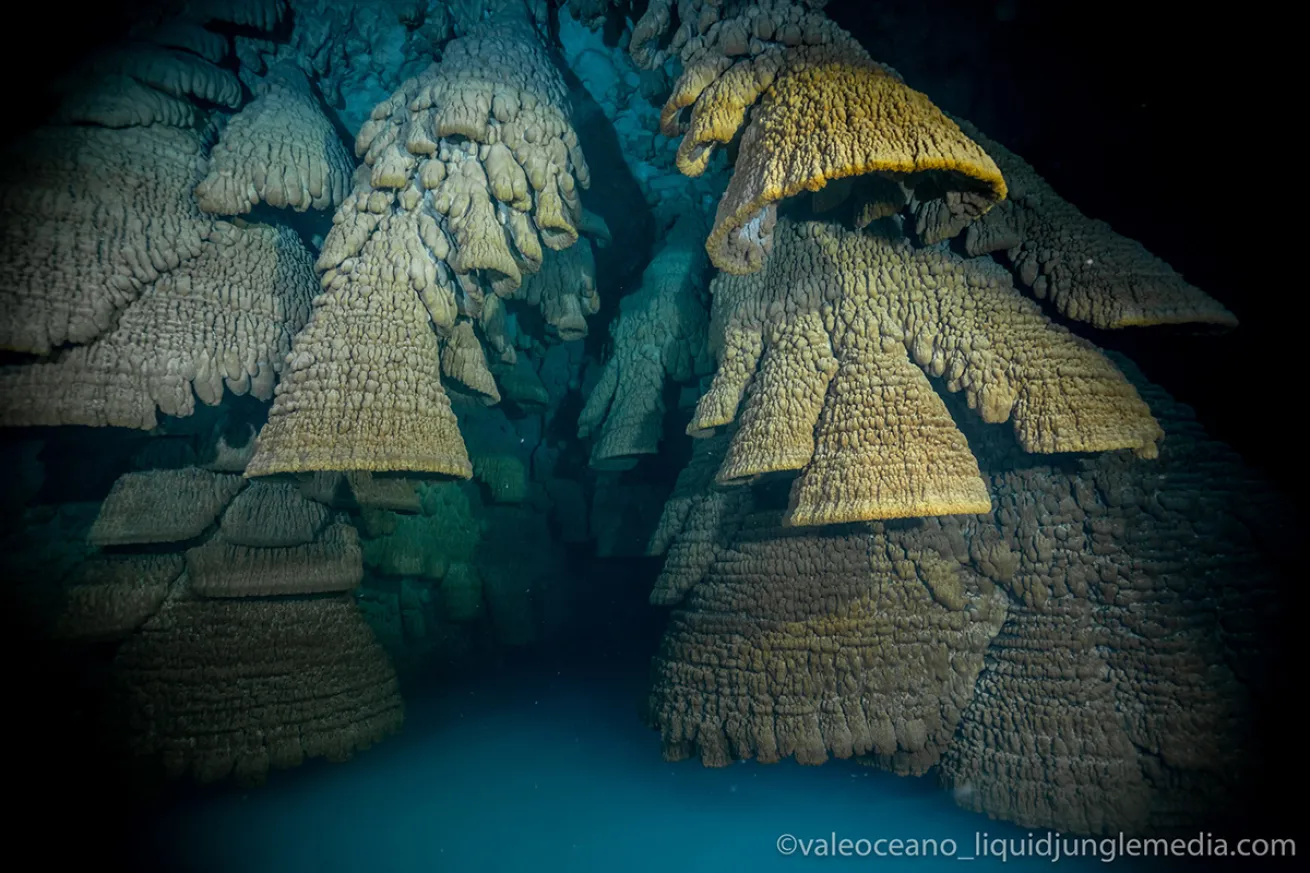Hells Bells bell formations