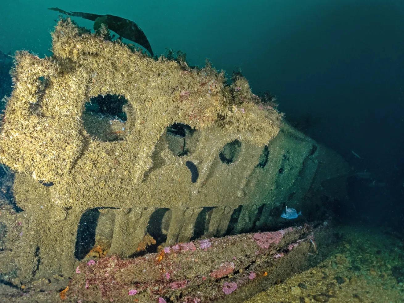 portugal_river-gurara-2.ScubaDivingMag.August2022