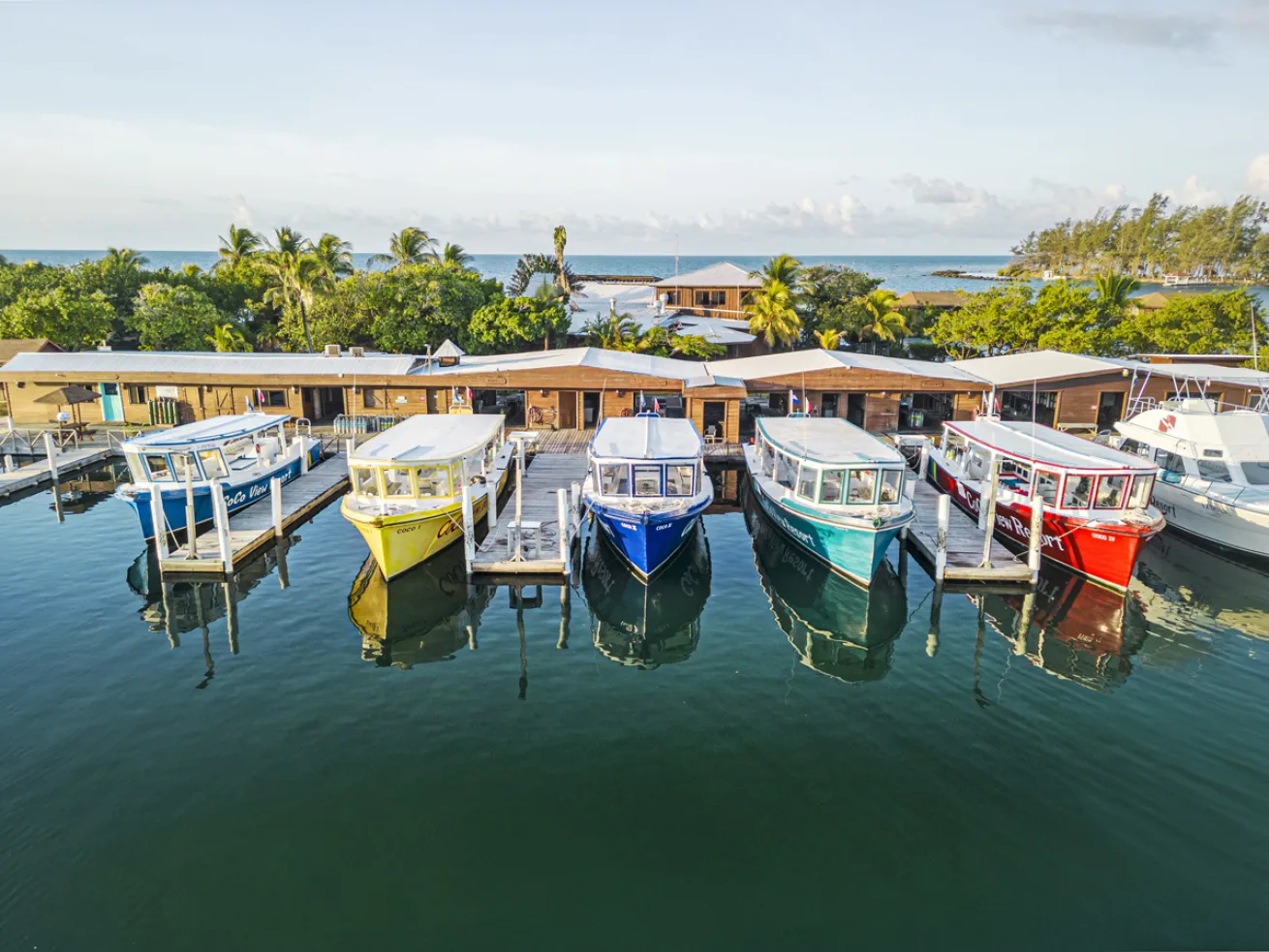 Roatan honduras dive resort
