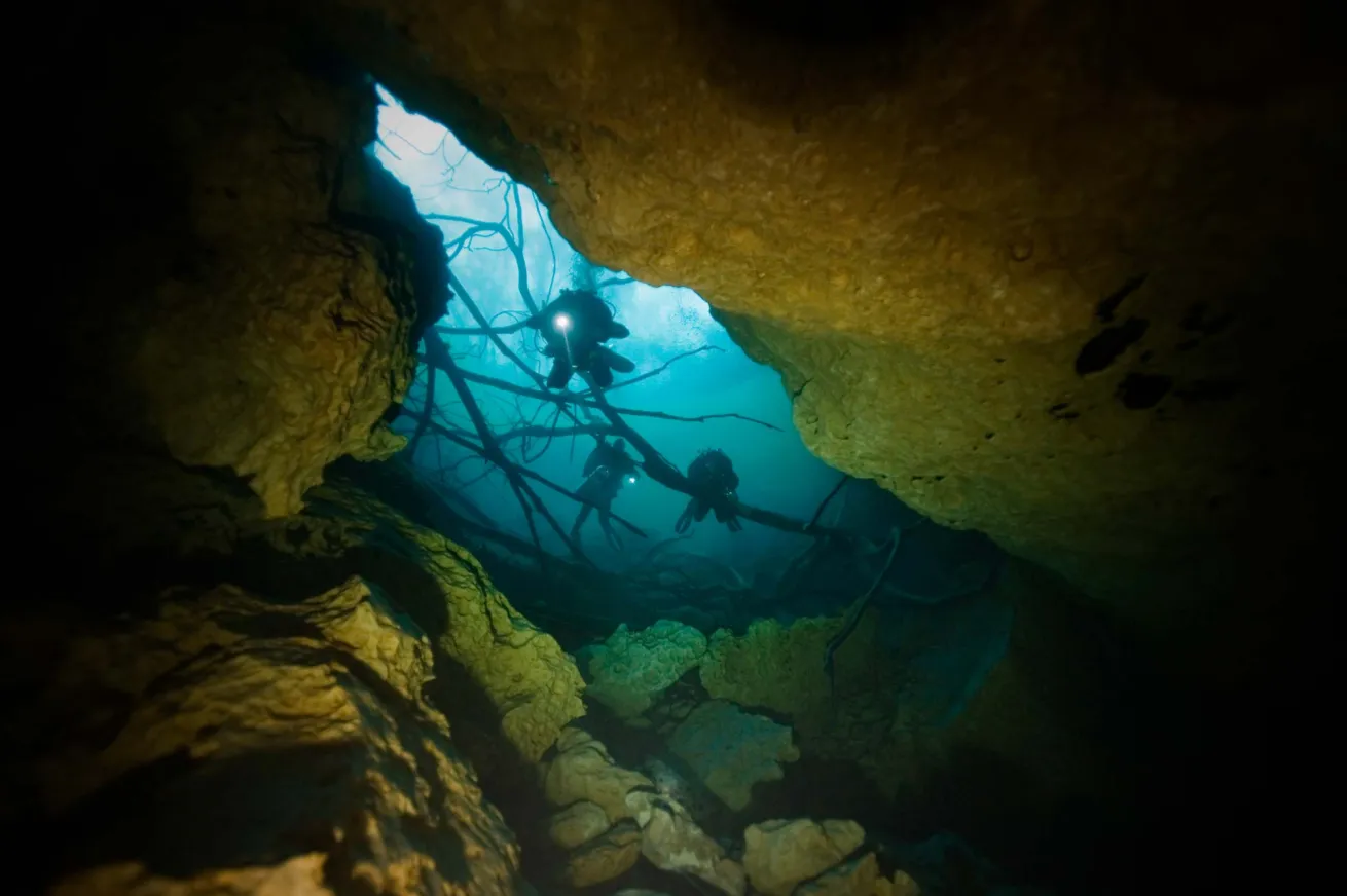 At Play in the Florida Swamps: Diving Peacock Springs | Scuba Diving