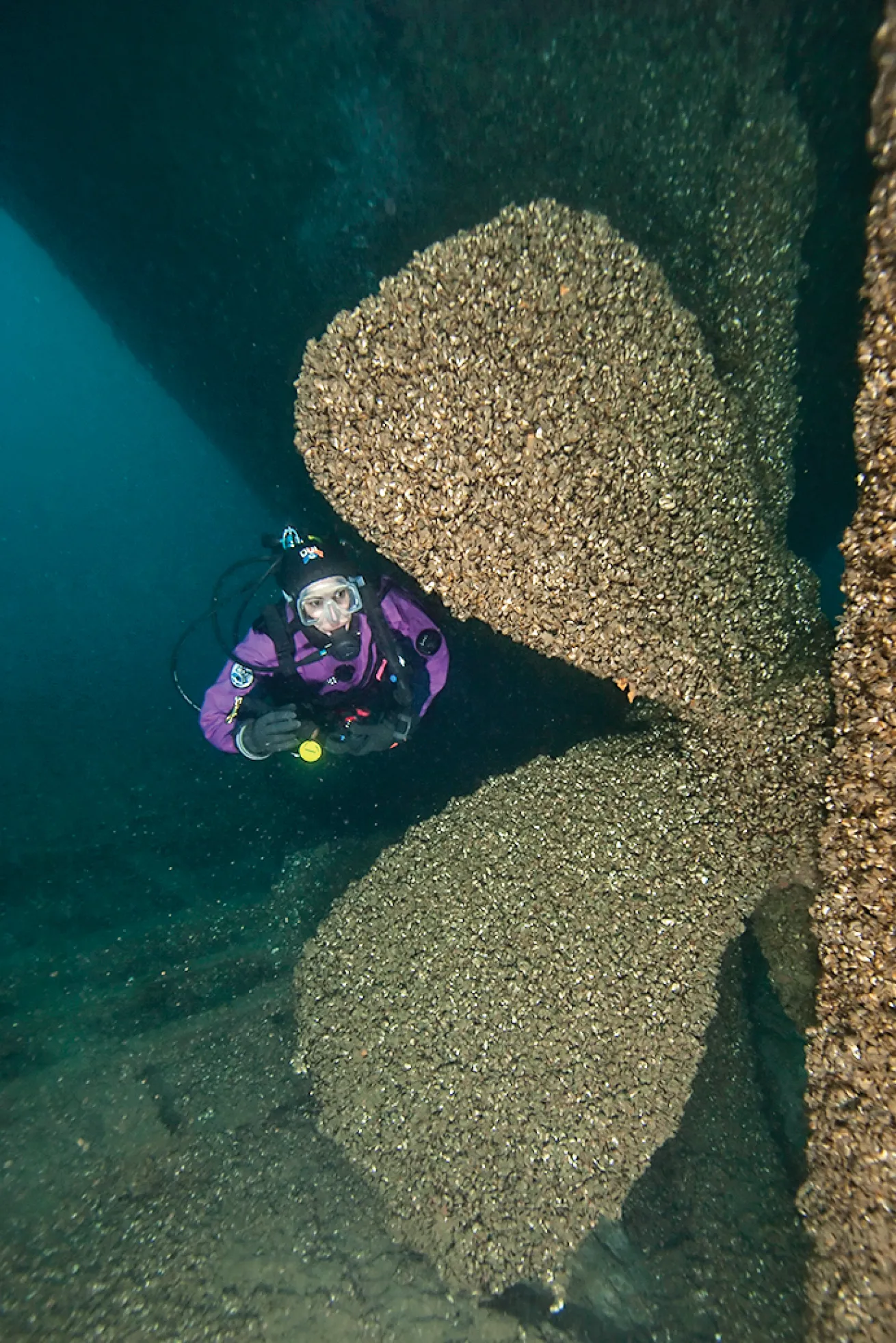 best advanced scuba diving north american and usa