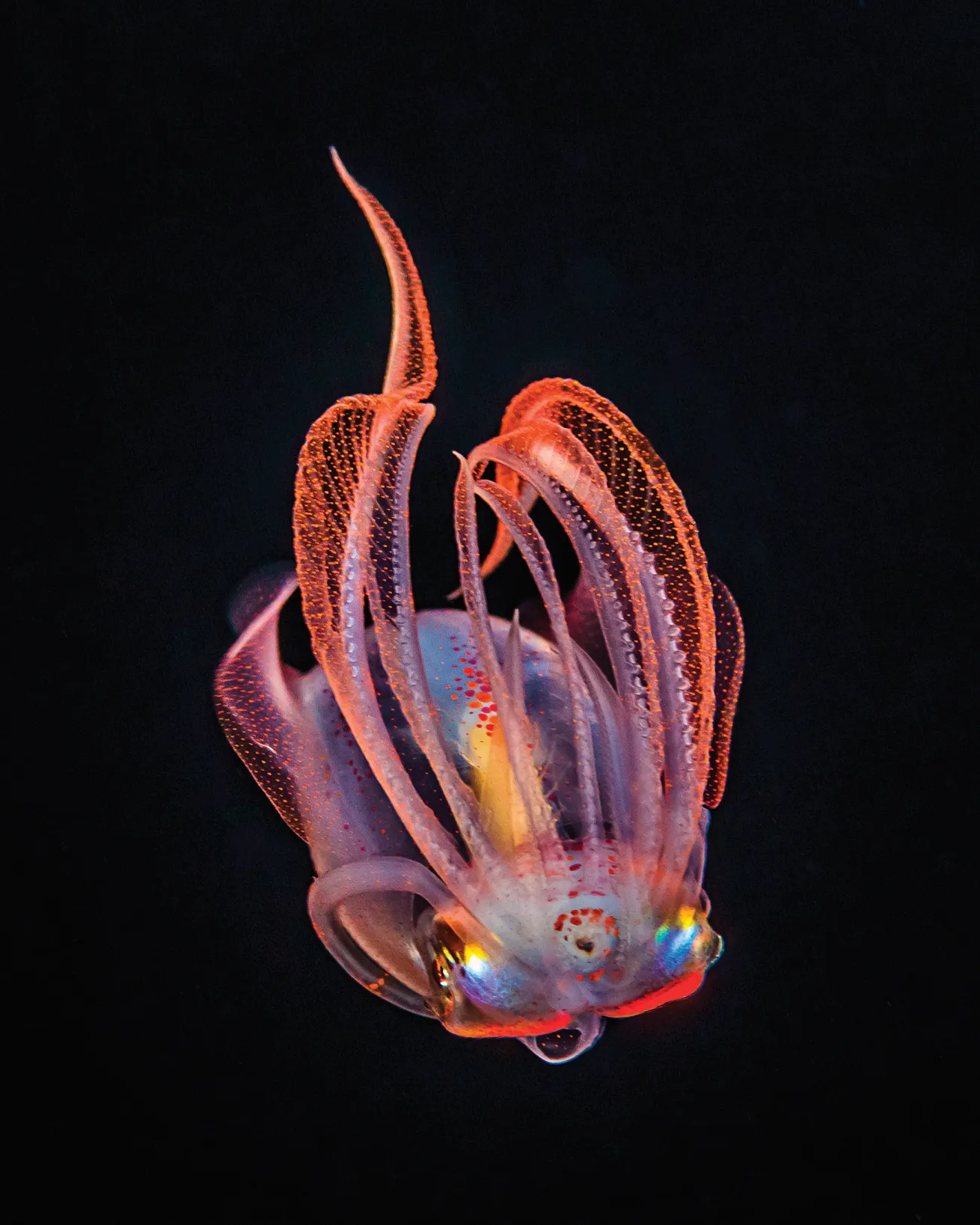 best scuba diving destinations 