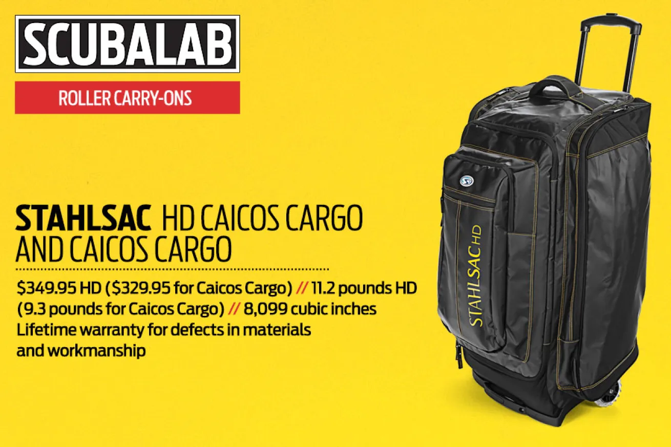 scuba diving gear and travel bags