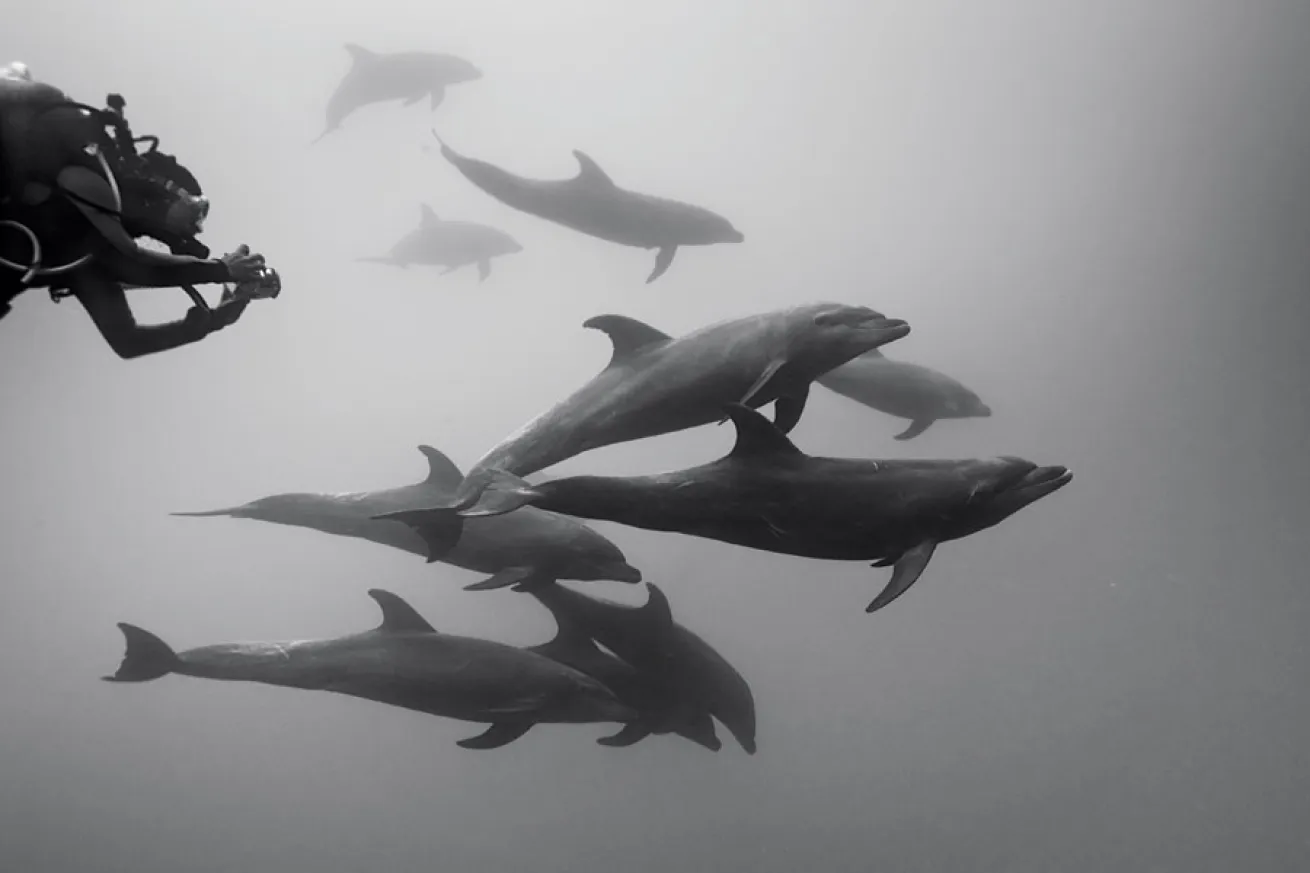underwater camera diving