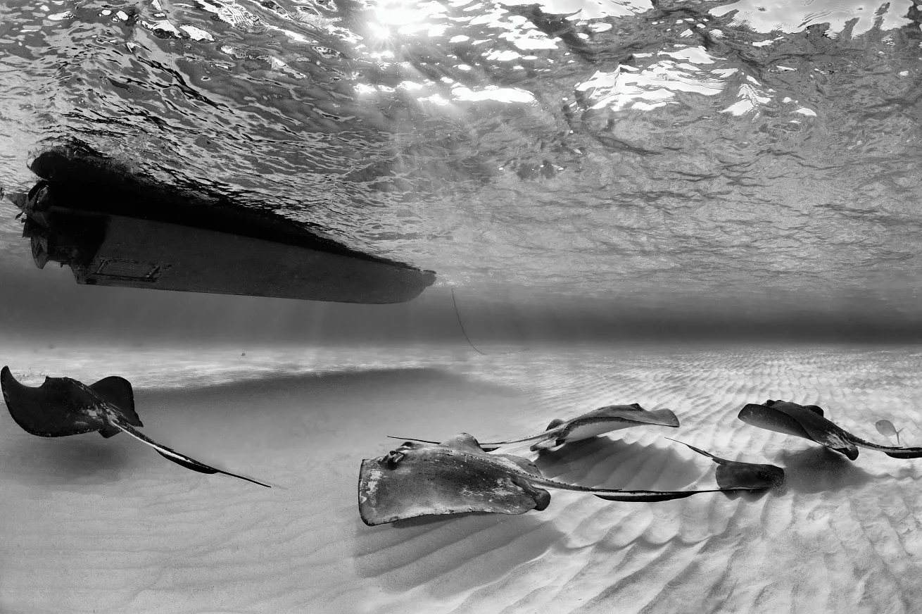 scuba diving cayman islands