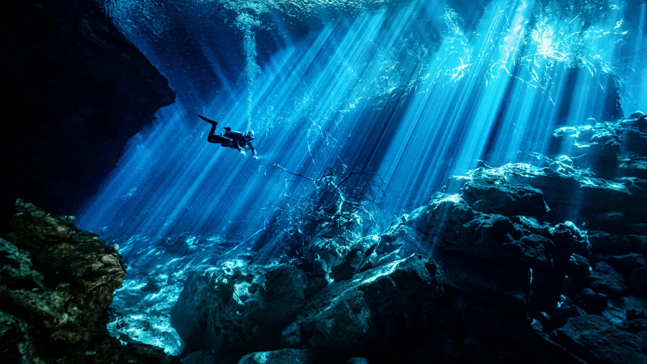 Explore the beauty of the underwater world. 