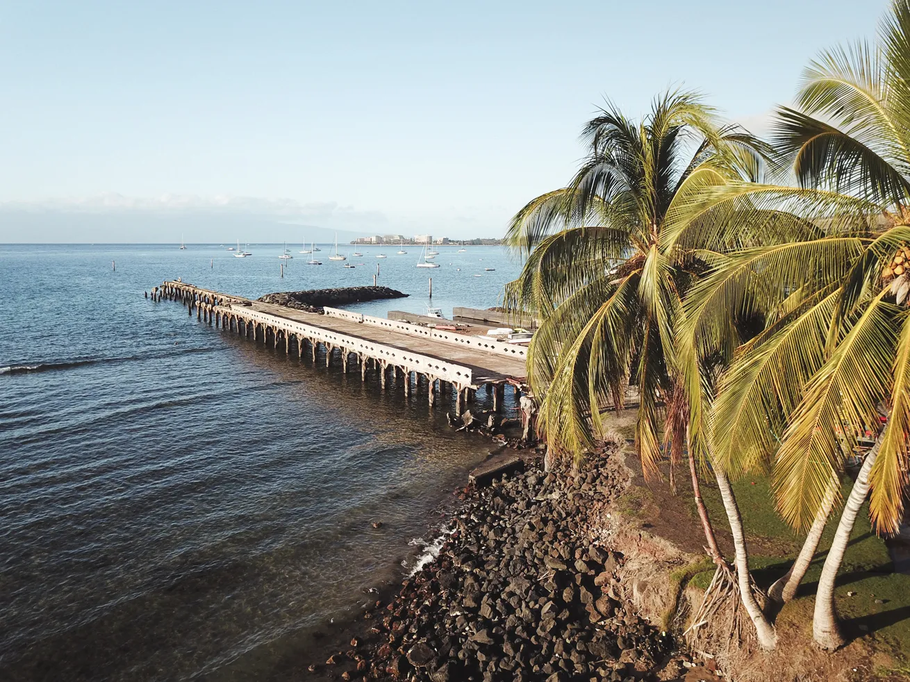 The west side, where Mala Wharf is located, was most affected by the fires, but the underwater realm is vibrant as ever.
