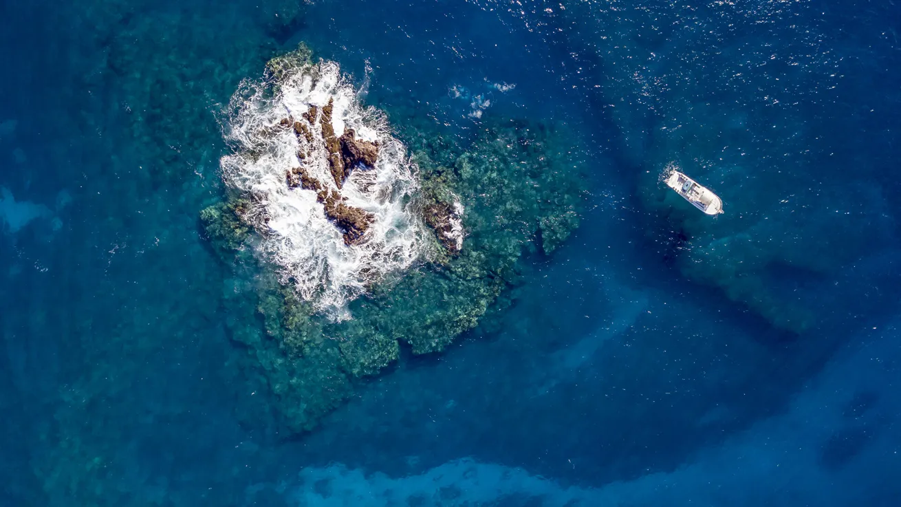Whether you crave an offshore excursion or shore-diving adventure, Maui has opportunities aplenty. With a host of colorful and endemic critters and a mix of mellow and advanced sites, the area is a favorite for both beginner divers and seen-it-all pros.
