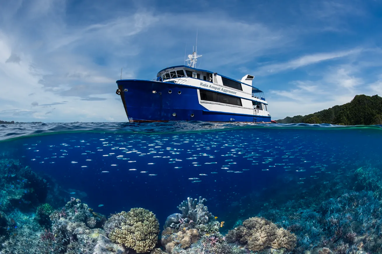 The *Raja Ampat Aggressor*