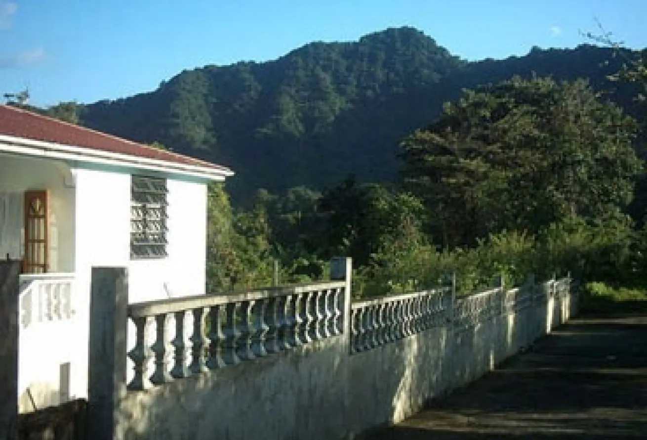Angelo Allen Property