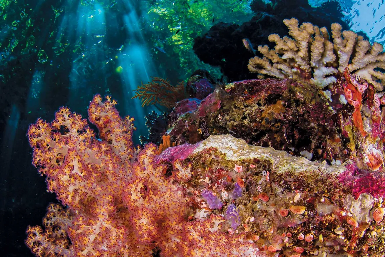 Western Pacific Ocean, Solomon Islands