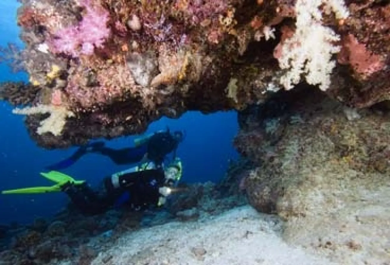 Palau-Diver