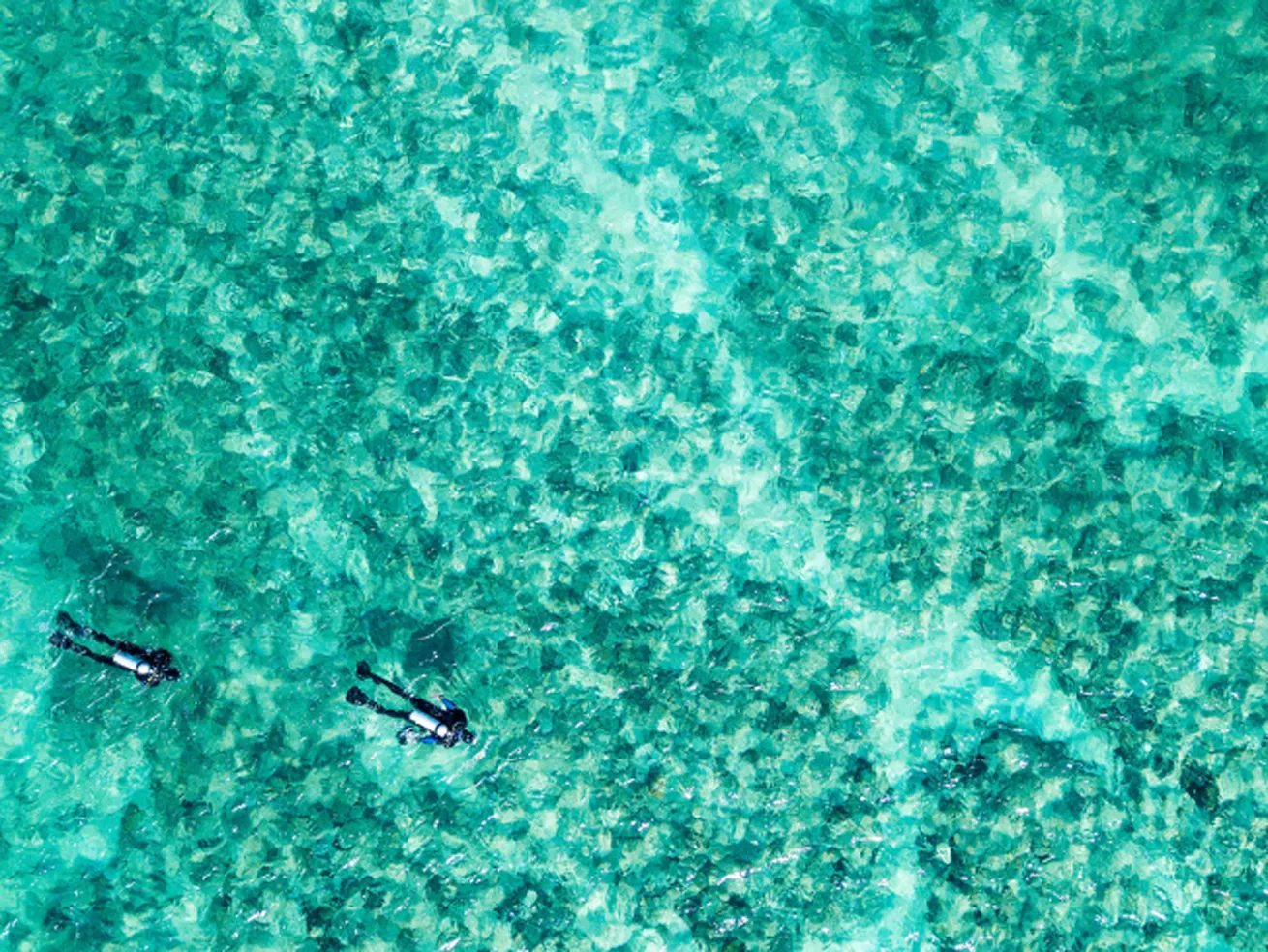 A lack of crowds and pollution make for pristine diving conditions.

