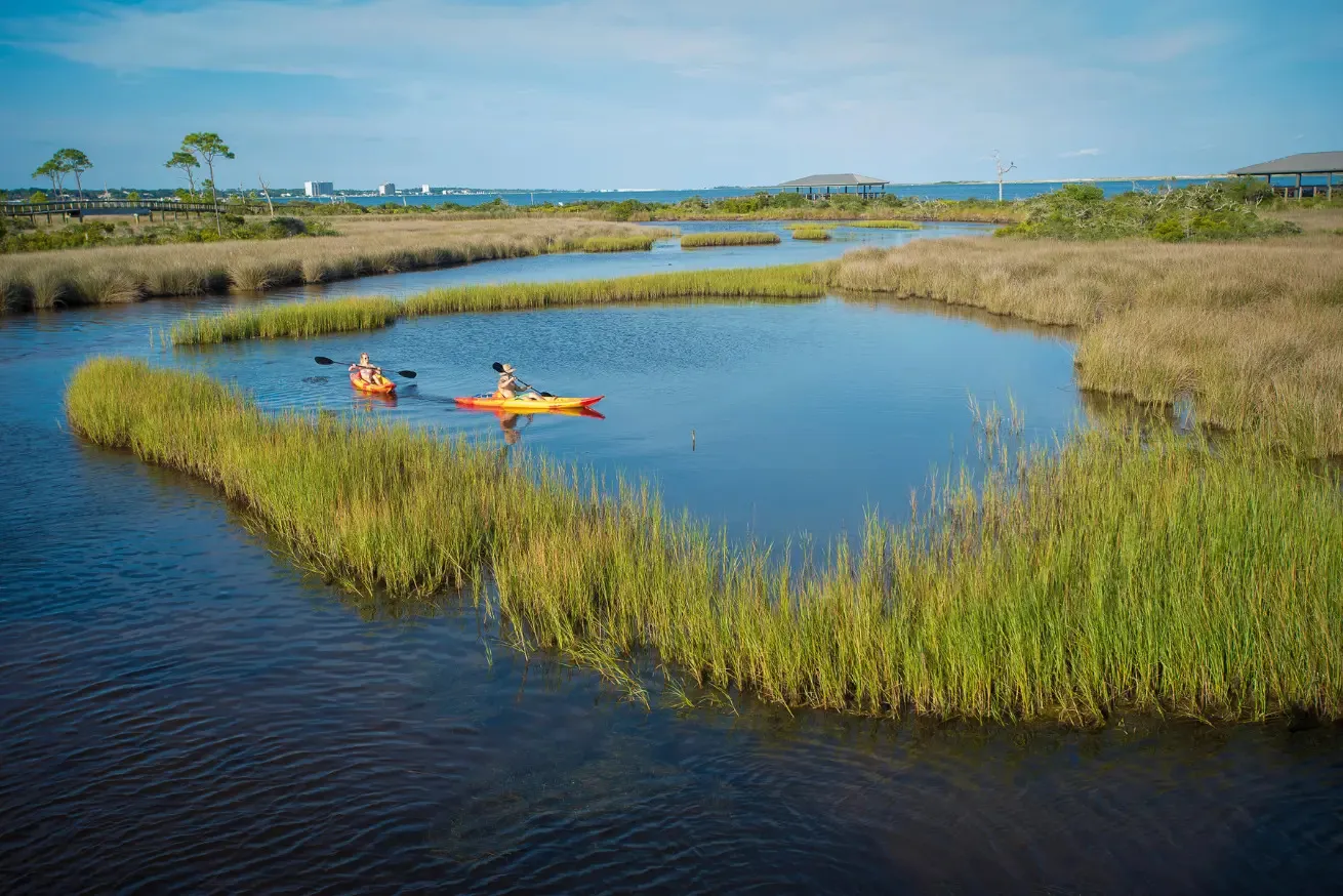 Photograph of two people kayaking on a calm, winding waterway surrounded by tall marsh grasses under a clear blue sky in Pensacola, Florida.