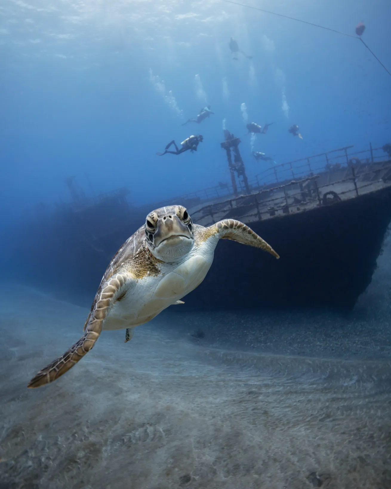 The unspoiled Dutch Caribbean island is home to more than 400 historic shipwrecks that are a delight to discover from your base at a Michelin Key-awarded eco resort.