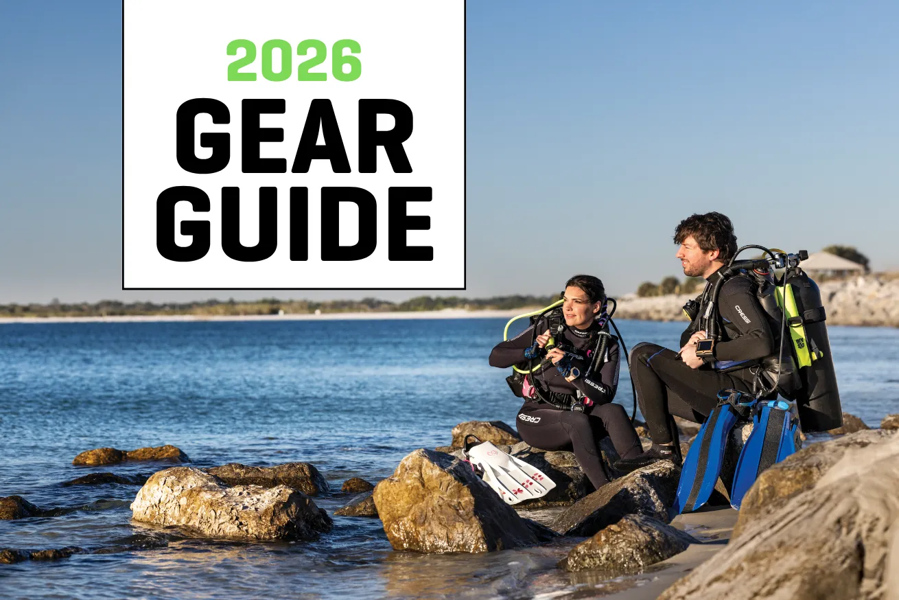 image of scuba gear including regulators and dive watches and wetsuits and an underwater camera