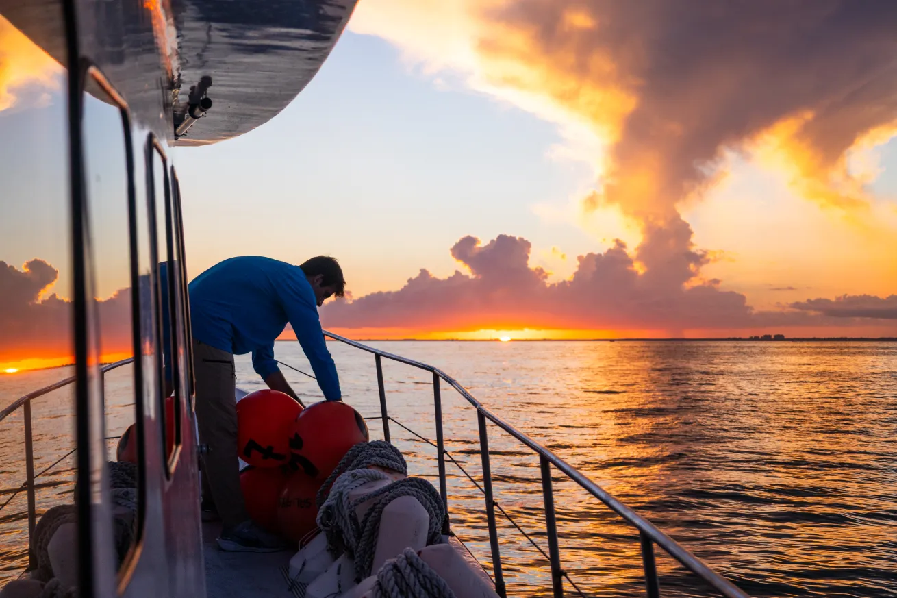 image of a shark research vessel at sunrise