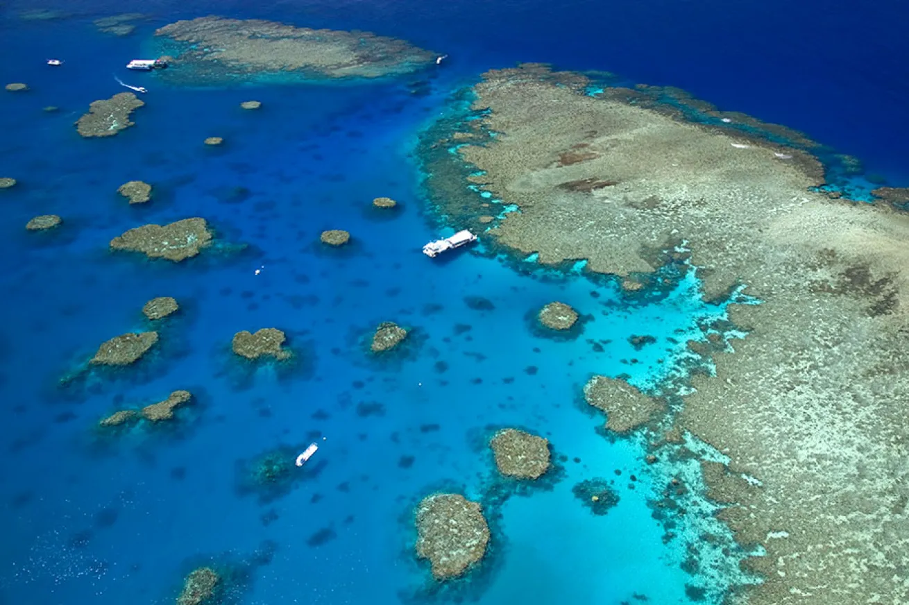 scuba diving great barrier reef