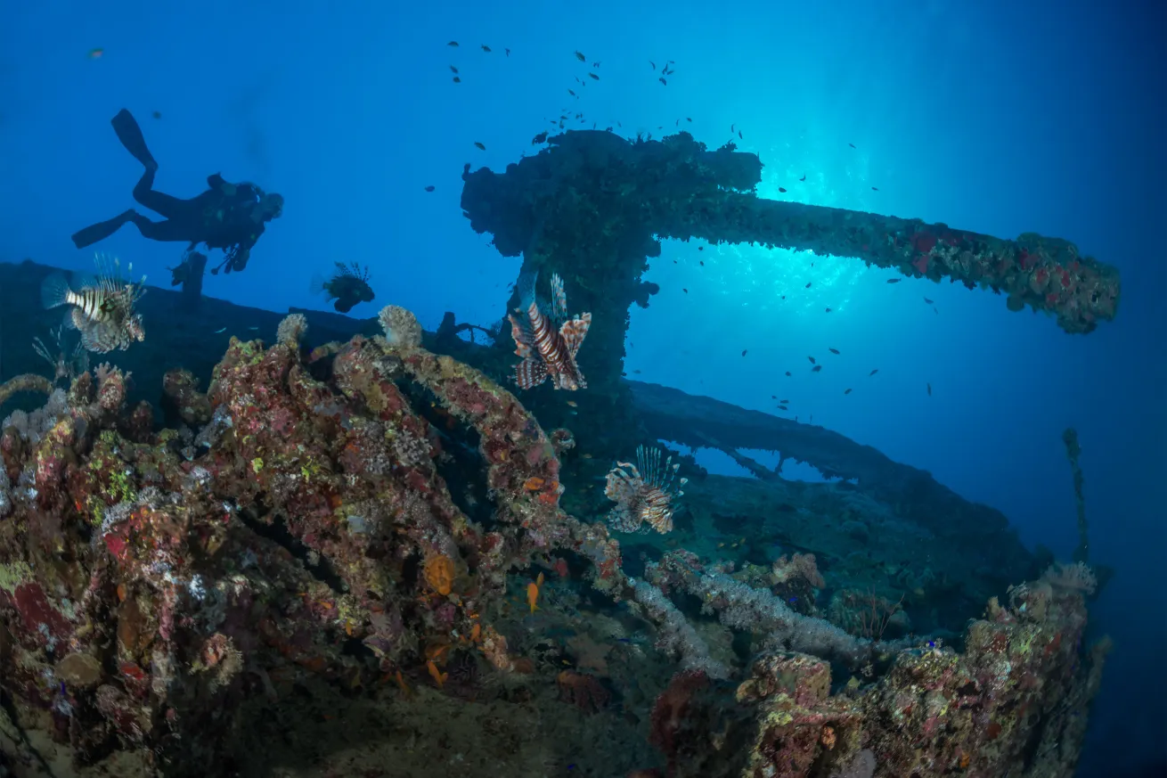 wreck 