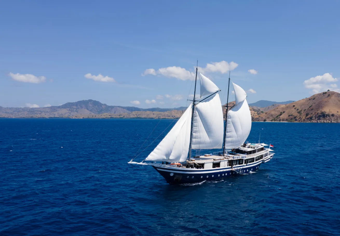 A sailboat in the water
