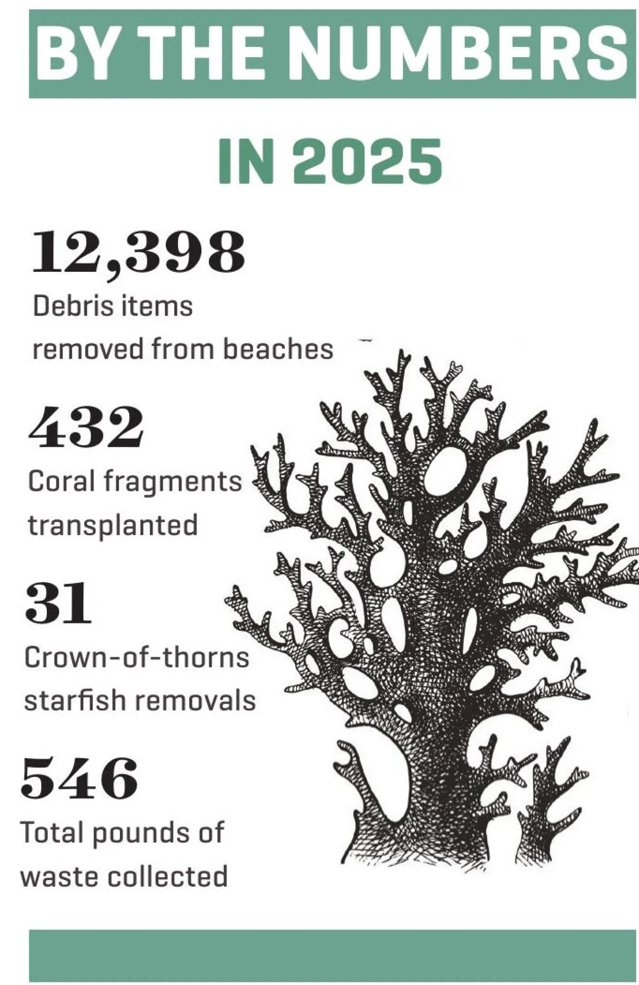 infographic on conservation in koh tao