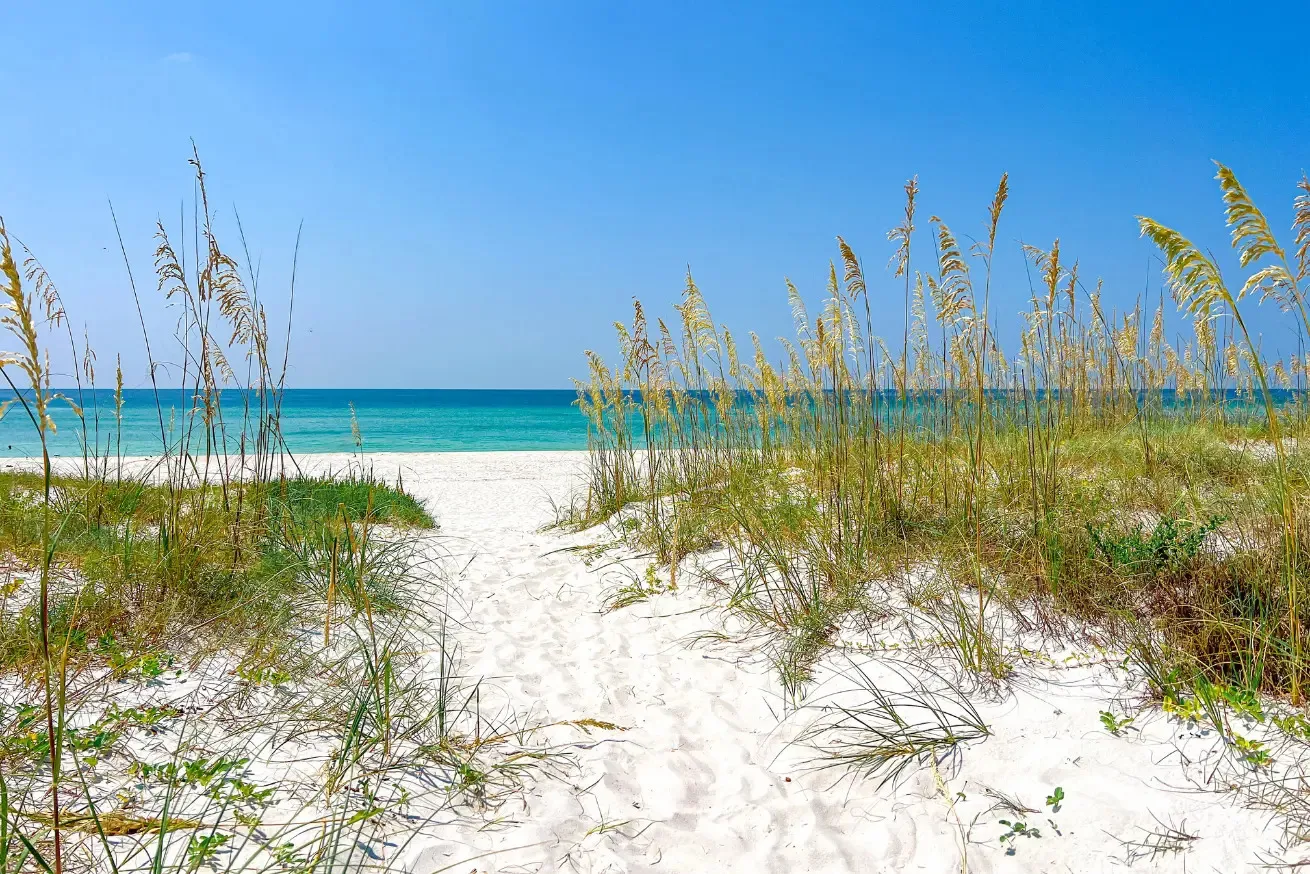 Photograph of a sandy beach pathway at Pensacola beach bordered by tall sea oats leading to a turquoise ocean under a clear blue sky.