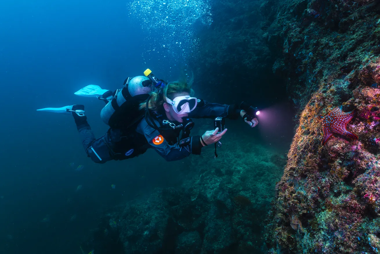Ellie Hudson films a sea star in her new Avatar drysuit.