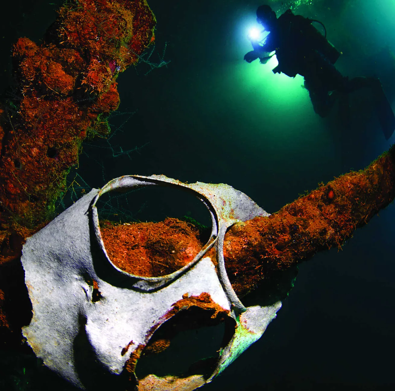 Fujikawa Maru 