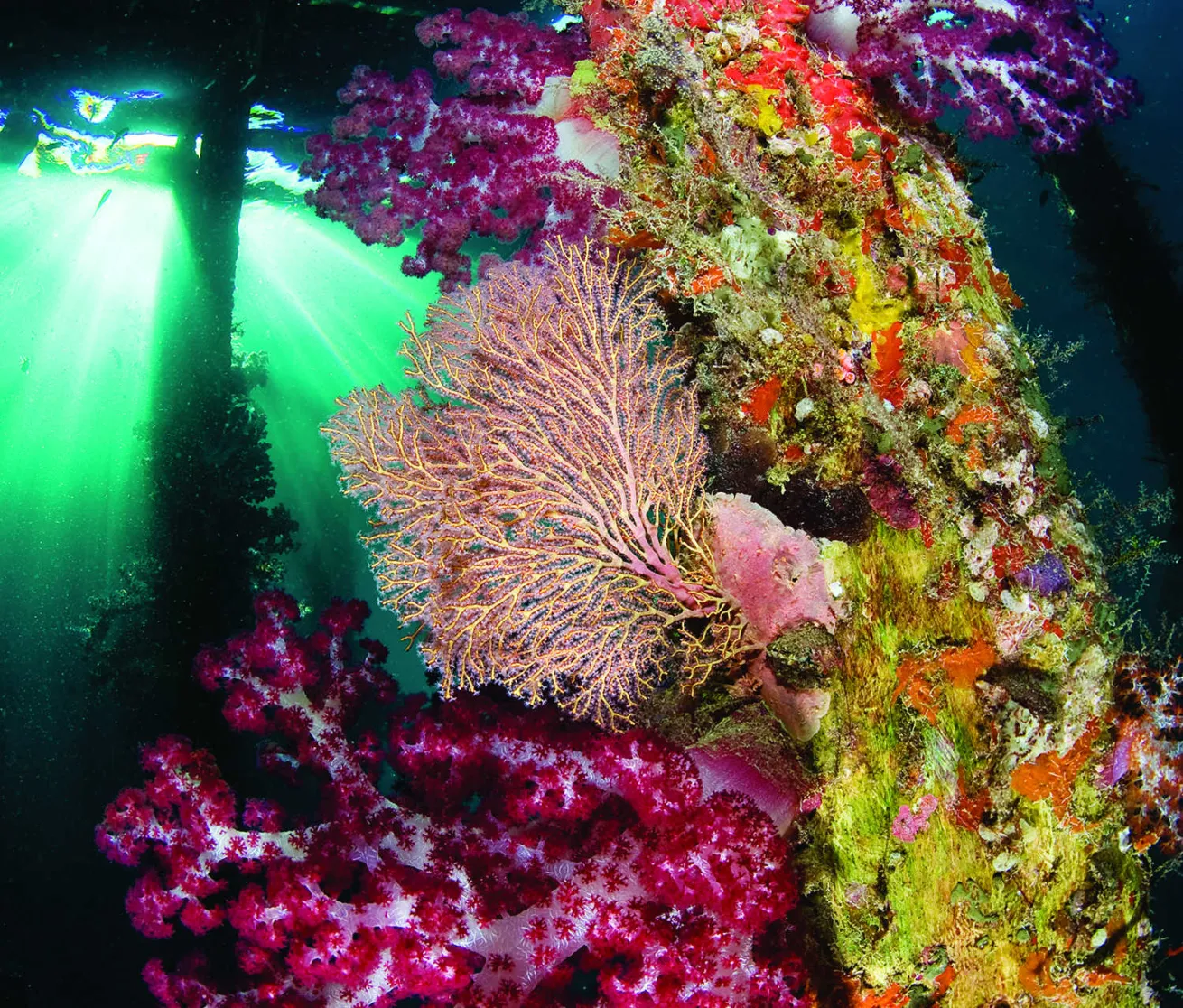 Arborek Jetty