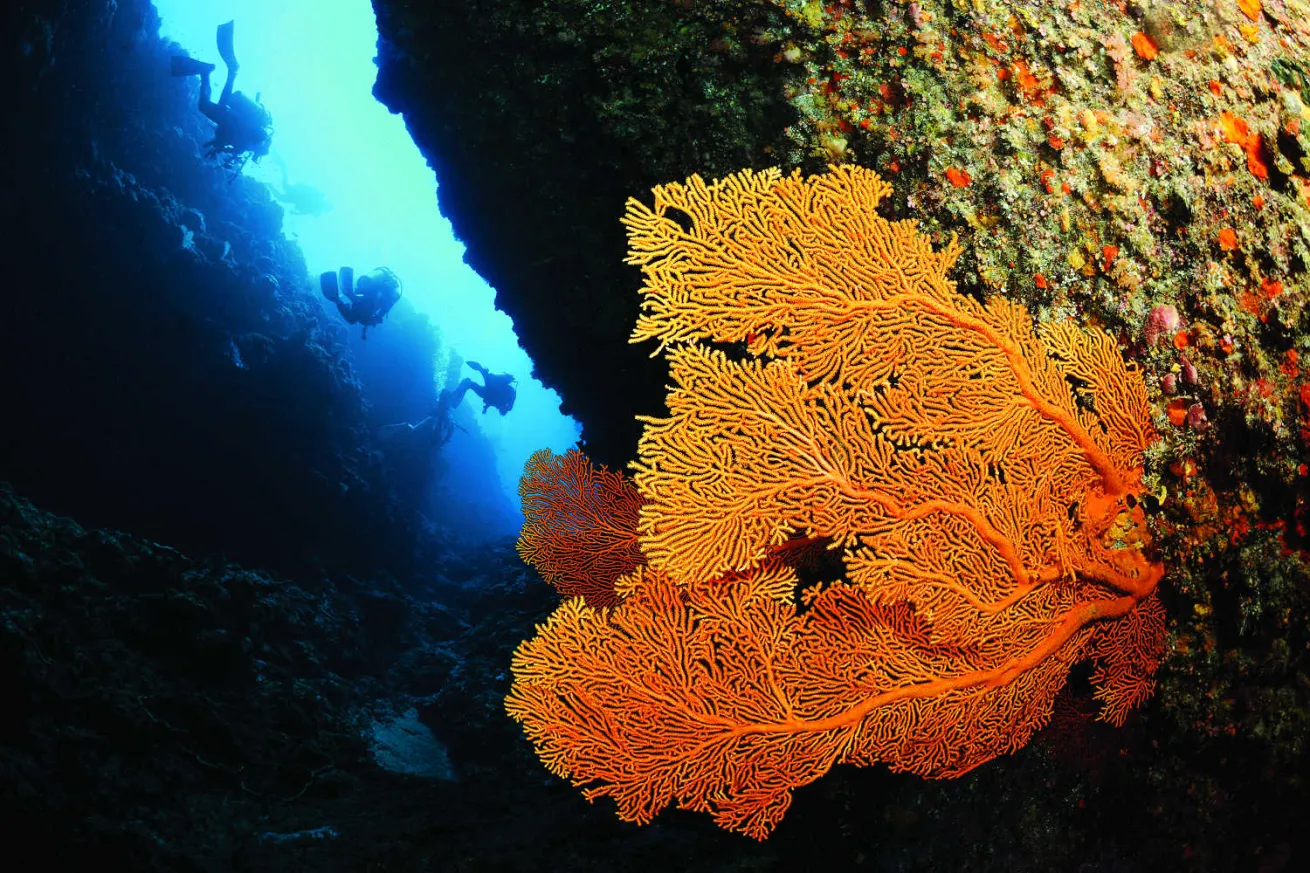 Kuba Island