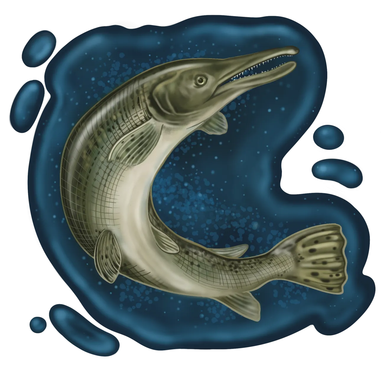 illustration of alligator gar fish