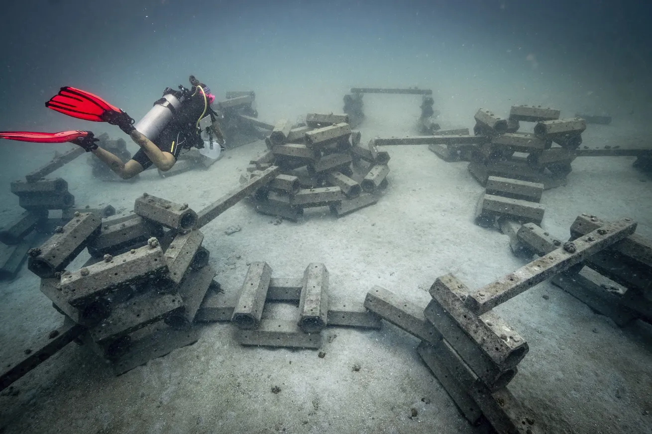 The honeycomb design of these artificial reef blocks creates safe havens for small critters.