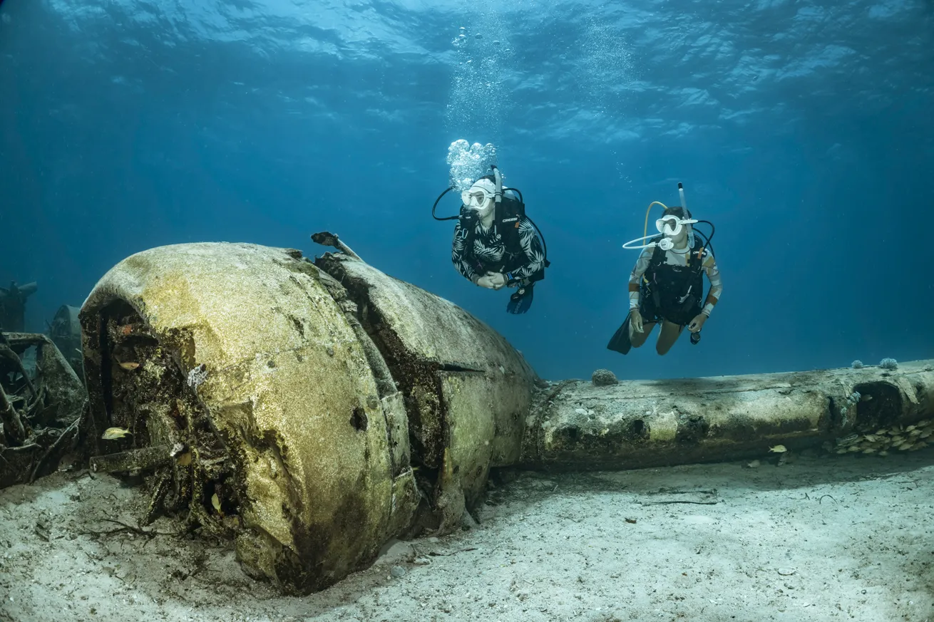 Smuggler’s Plane, near Norman’s Cay in the Exumas, is still mostly intact, but marine life is beginning to take over.