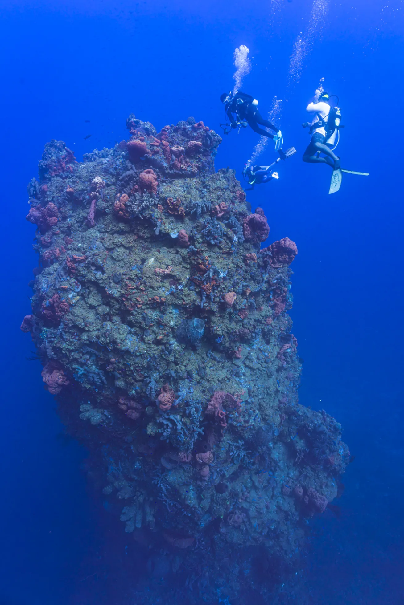 The Needle, one of the island’s bestknown dive sites.