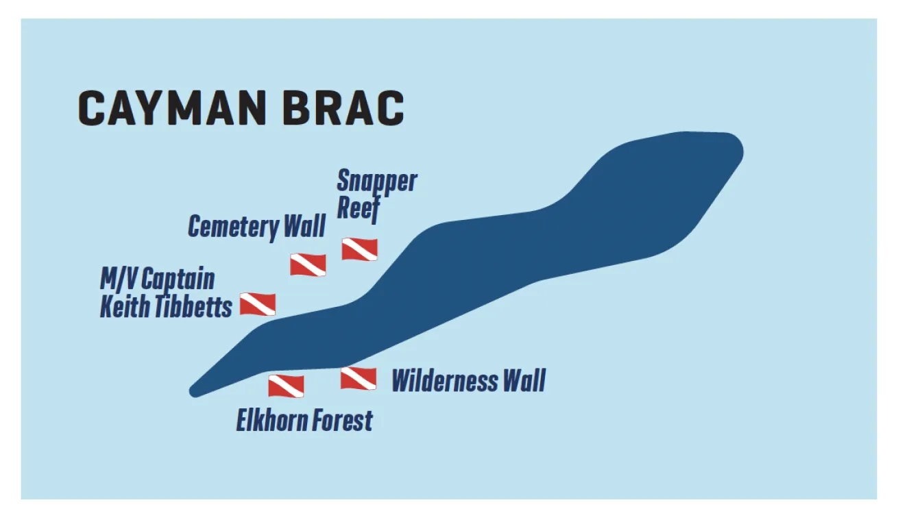 dive sit emap of cayman brac, cayman islands