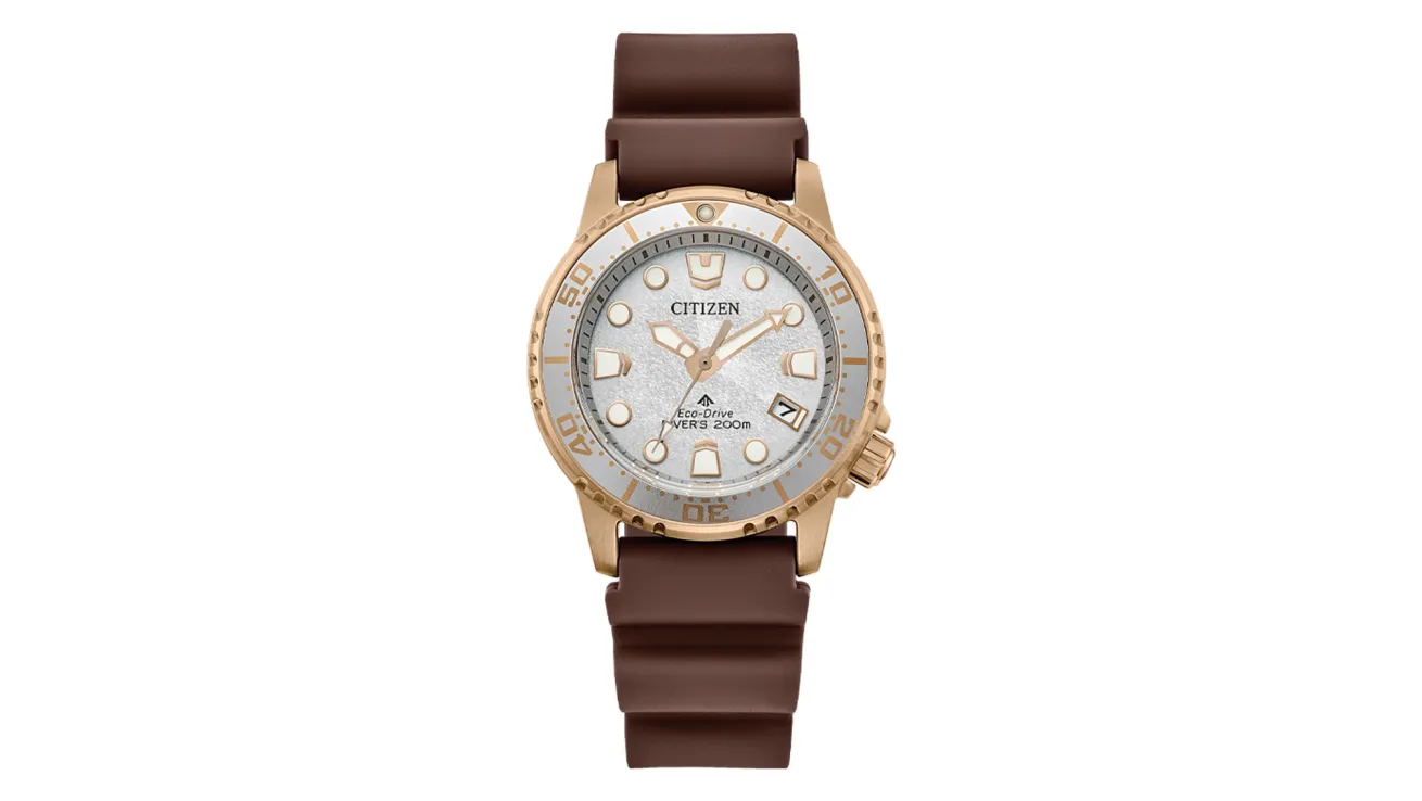 Citizen Promaster Dive 37 mm watch with a rose gold–tone stainless steel case, silver dial, luminous markers, and a brown polyurethane strap.