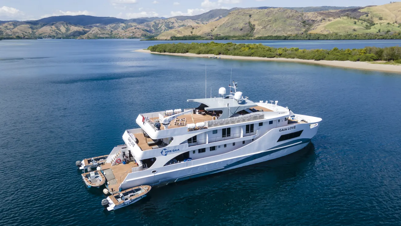 The luxury 131-foot steel liveaboard Gaia Love caters itineraries to the best dives in Indonesia.