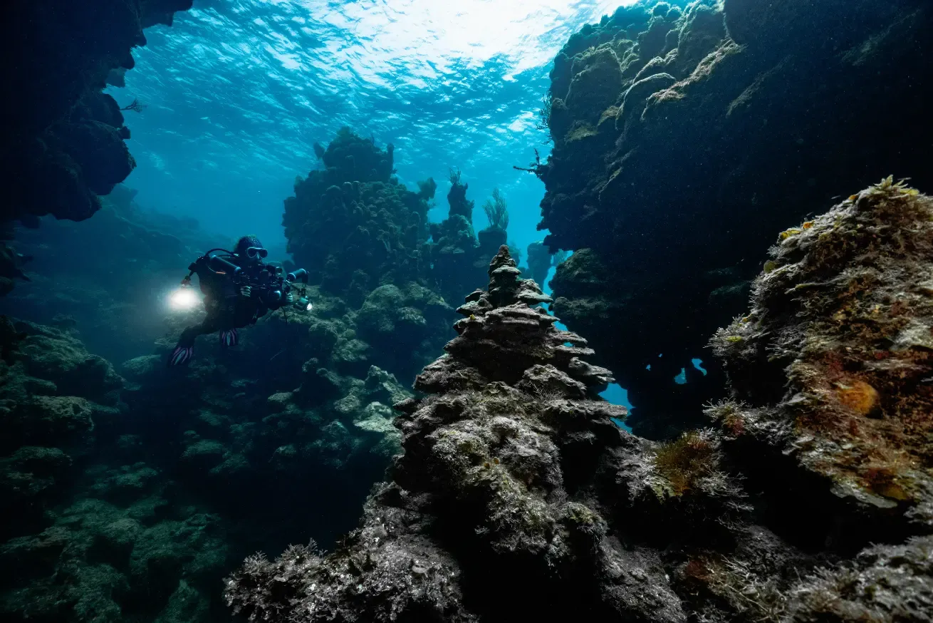 Photograph of an underwater scene showing a scuba diver exploring a coral reef in Roatan with rocky formations and marine vegetation.