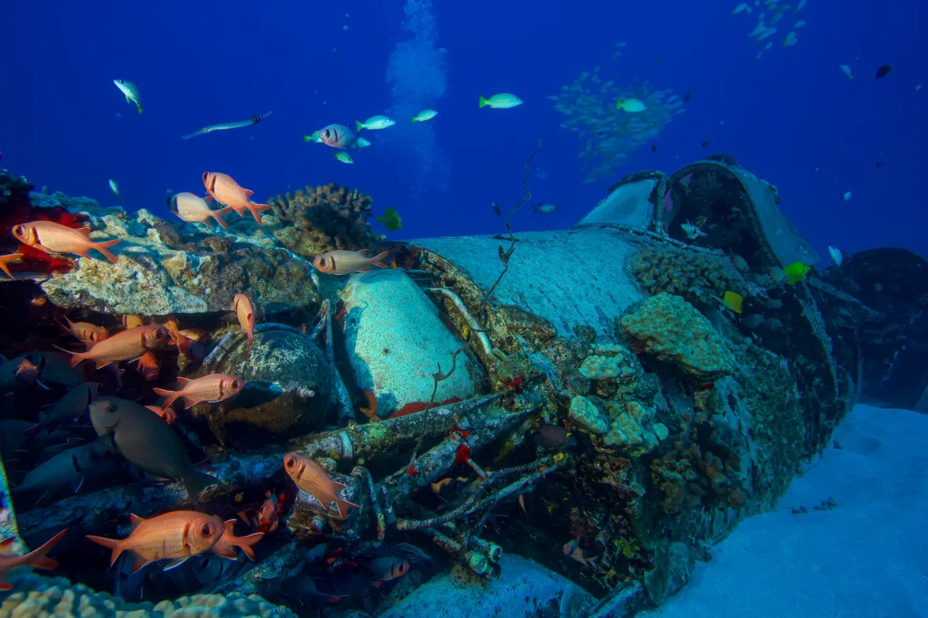 Diver exploring the Corsair wreck off Oahu with Aaron’s Dive Shop.