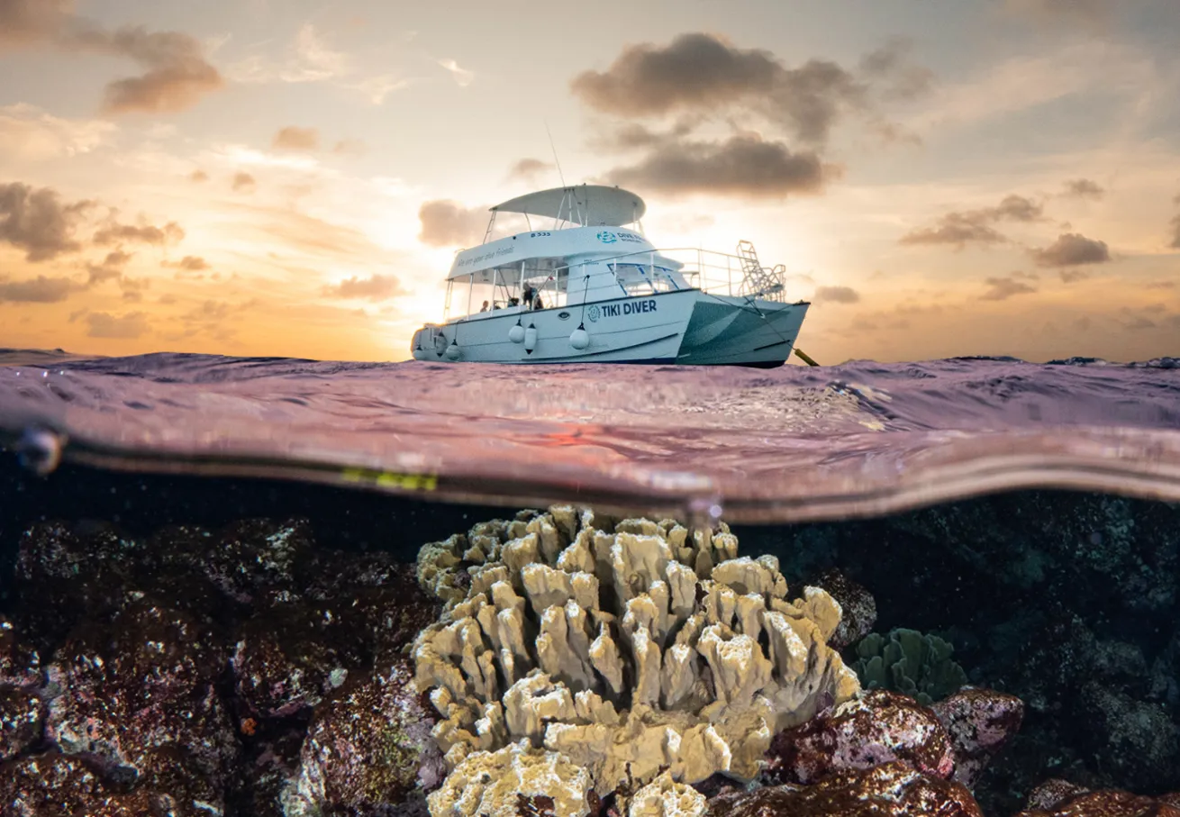 Dive Friends Bonaire won seven awards in the 2026 Readers Choice Awards.
