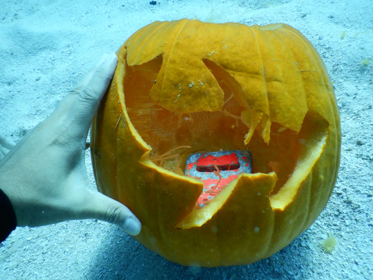 Carved pumpkin underwater