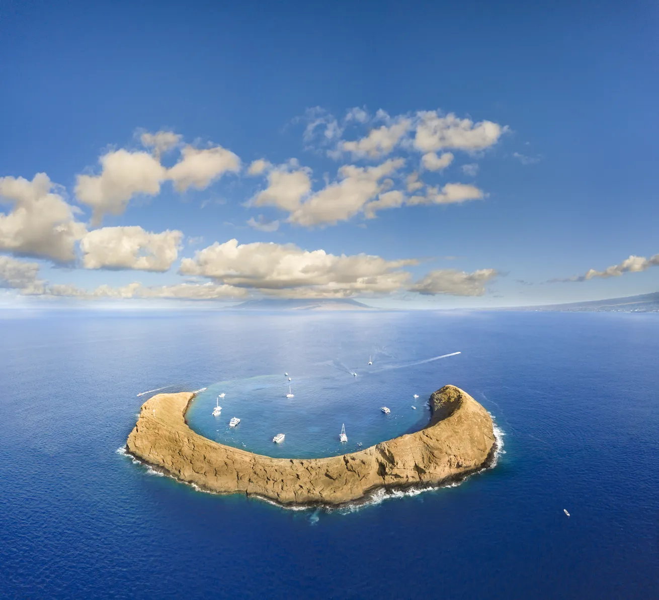 Molokini Crater has an adventure for everyone: a protected inner bay and an adrenaline-filled deep-water drift dive on the back side.

