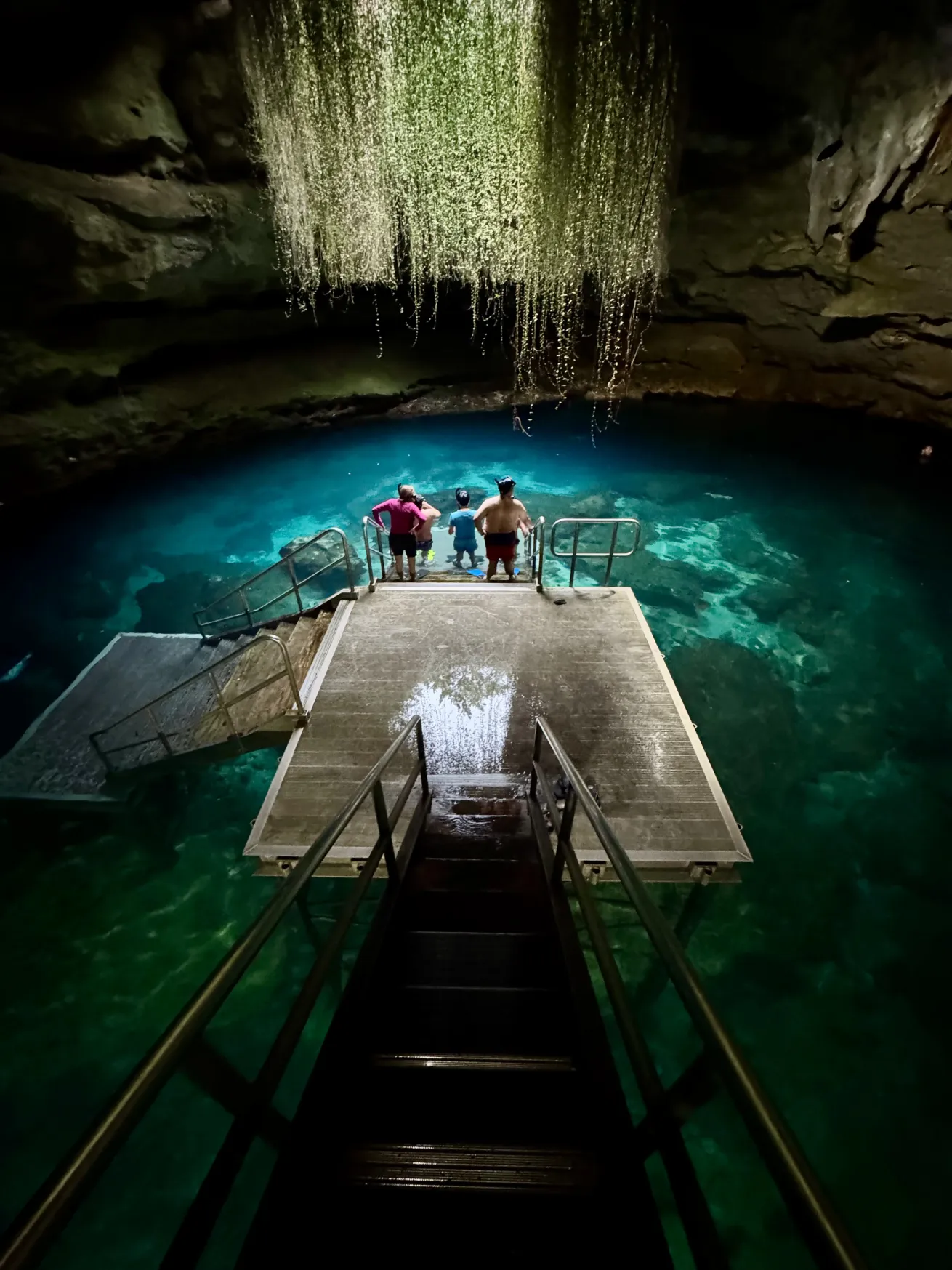 Devil's Den Prehistoric Spring near Williston, Florida
