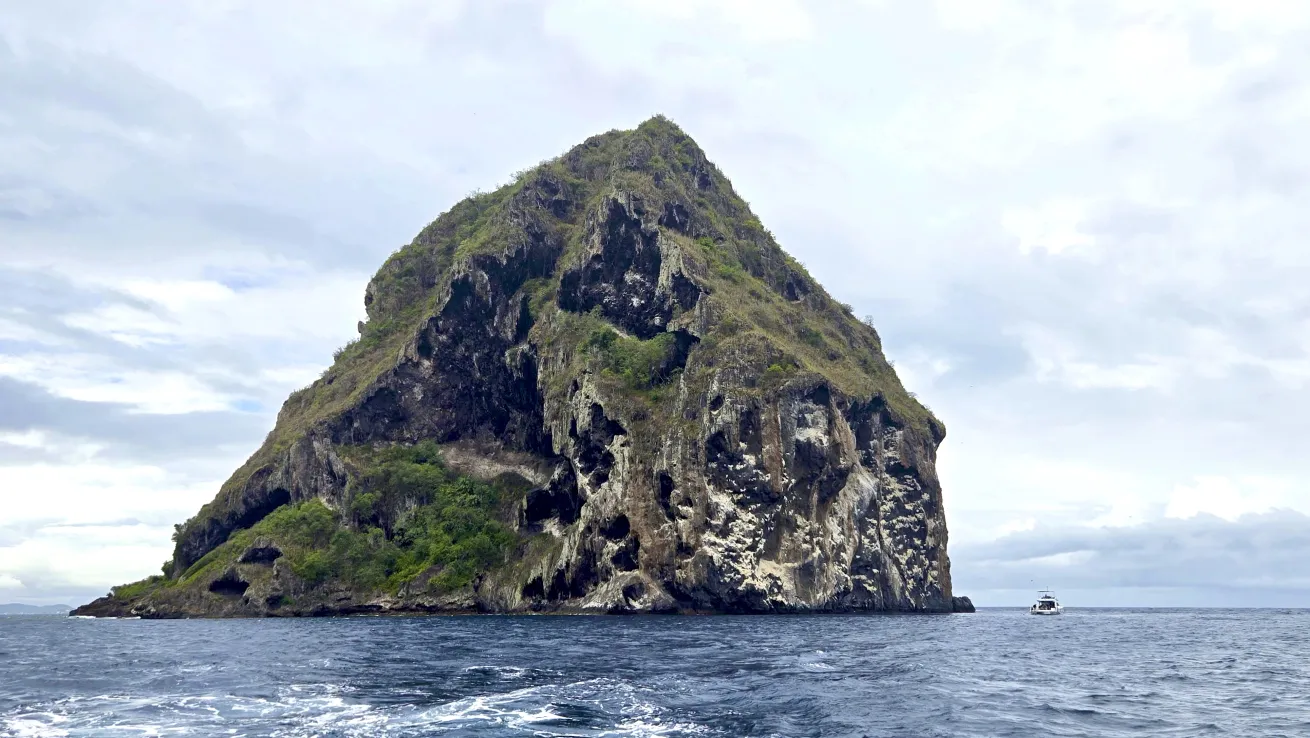 Diamond Rock, One of Martinique's famous dive sites