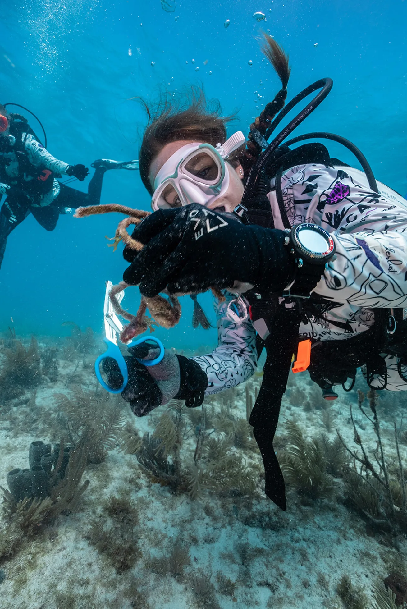 A diver uses shears to cut rope away from a reef.