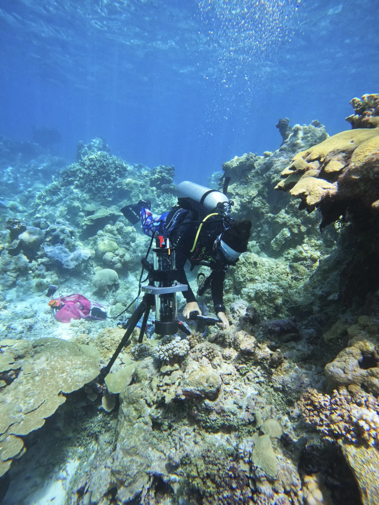 A field deployment of the BUMP in Palmyra Atoll, where corals were imaged and measured.