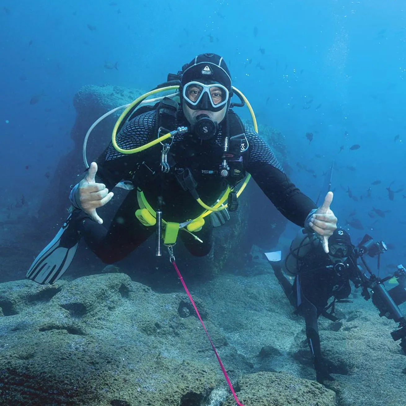 A reef hook makes Galapagos diving much more relaxing, especially for photographers.