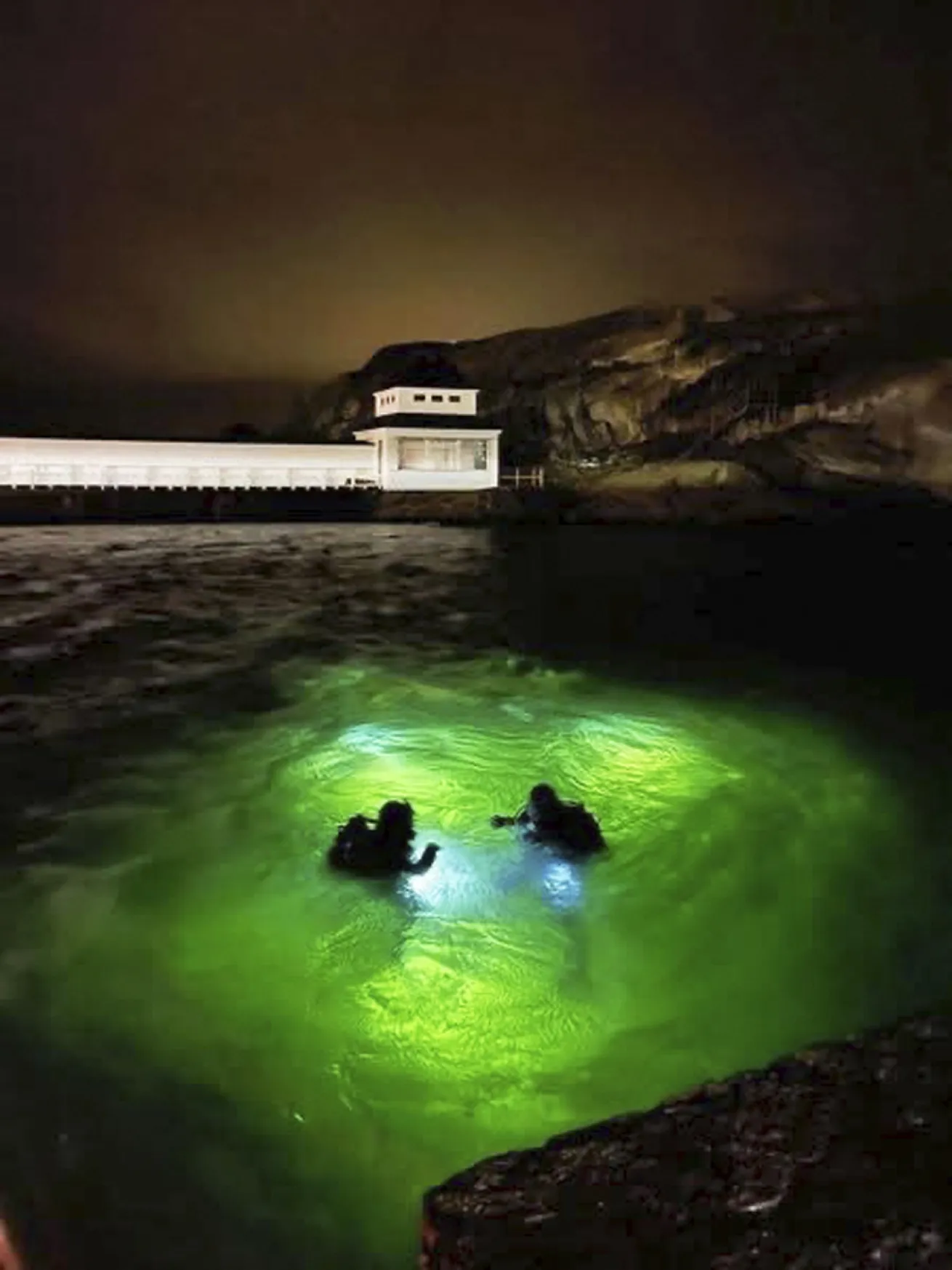 During a night dive, the water’s green hues are especially noticeable.
