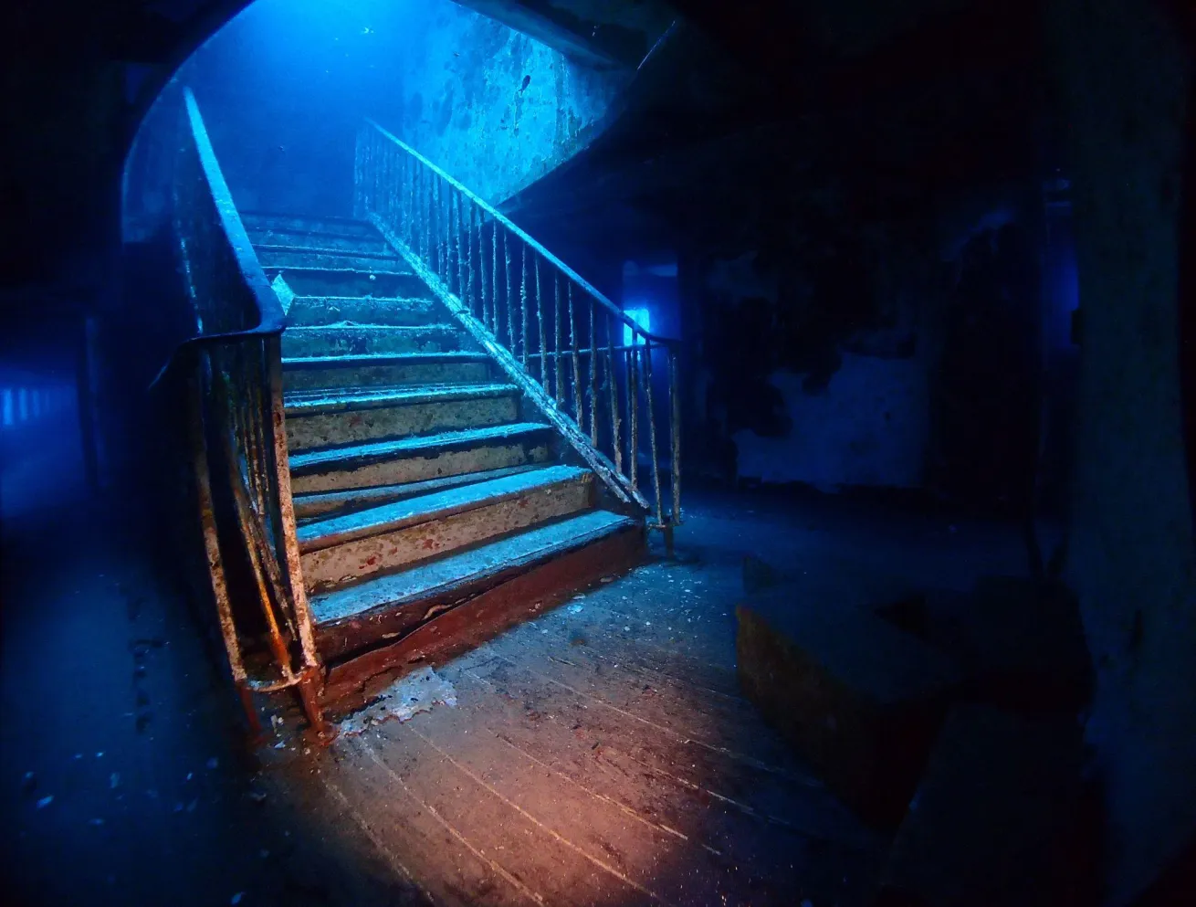 The M.V. Karwela shipwreck has one of the most photogenic and famous underwater staircases in the world.