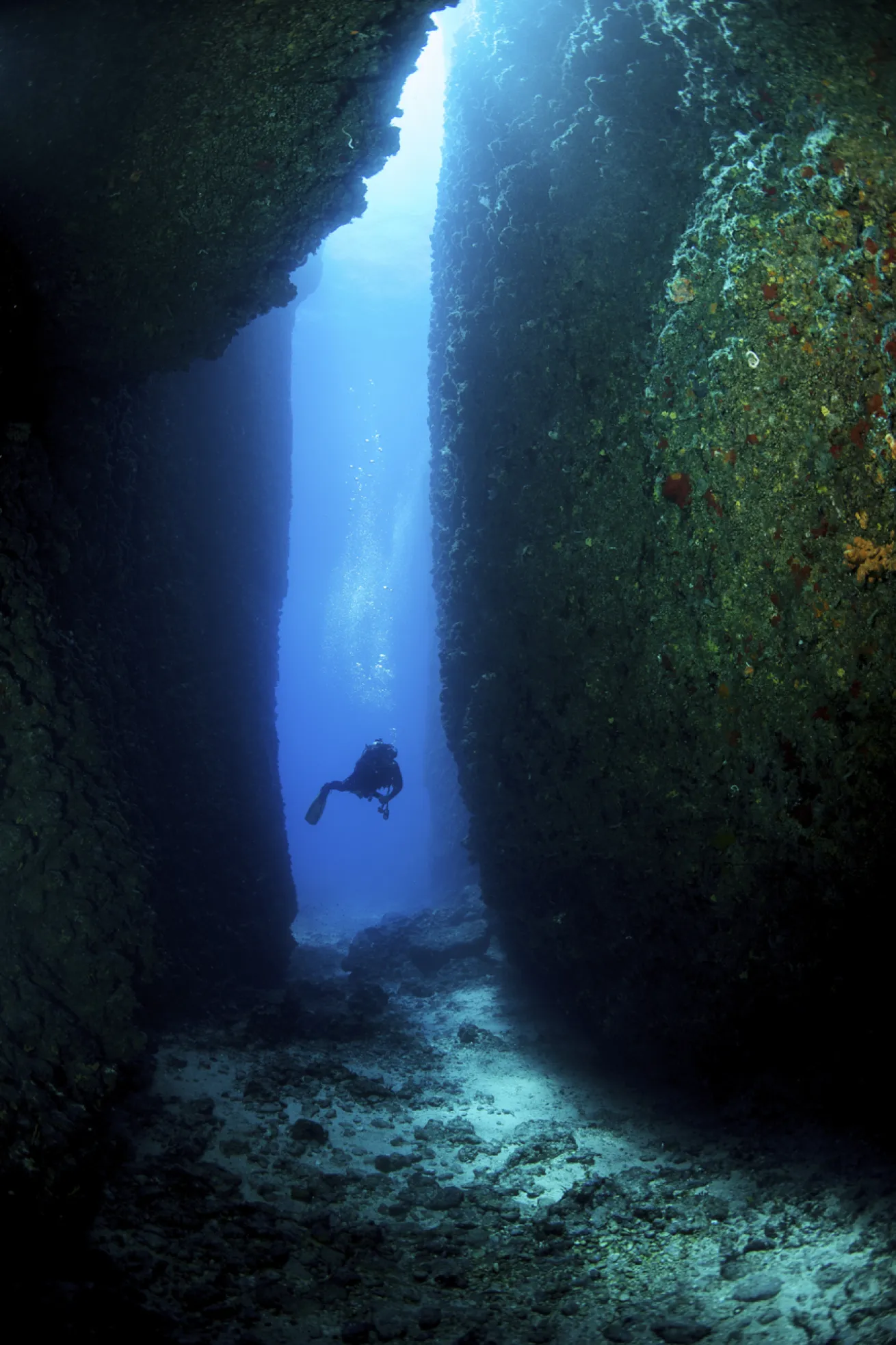The sheer wall at the Canyon dive site makes for a dramatic path leading to an underwater cave.